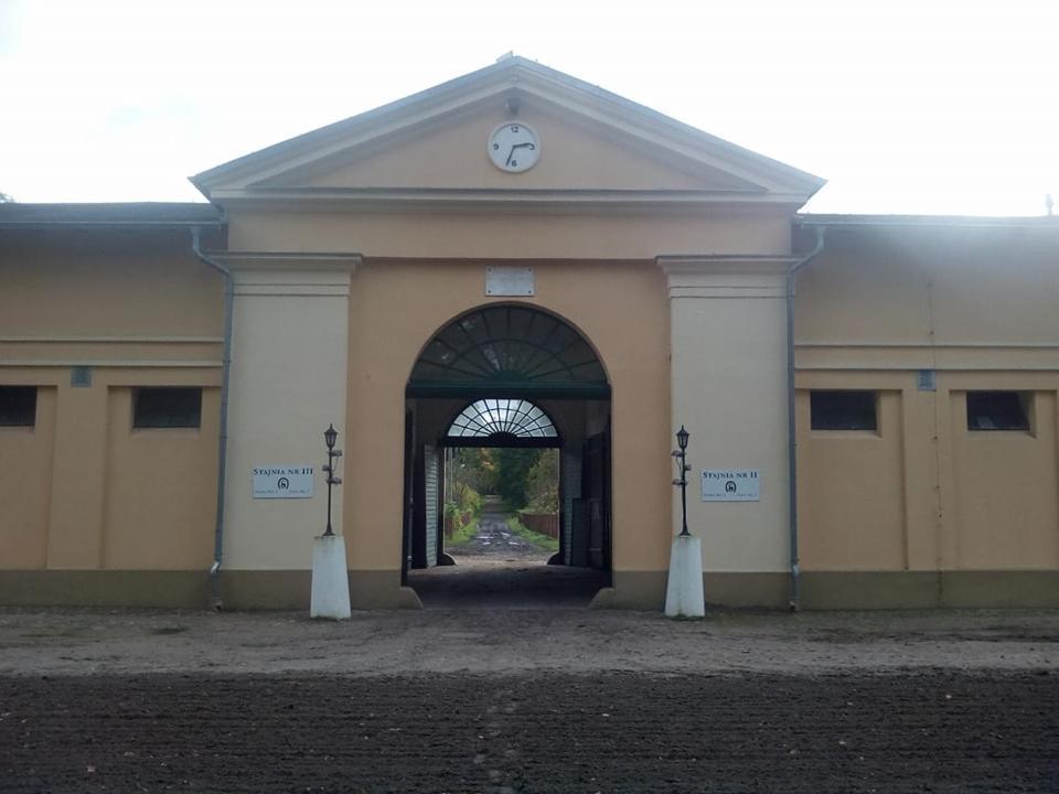 Stado Ogierów Sieraków Hotel Sierakow  Exterior foto